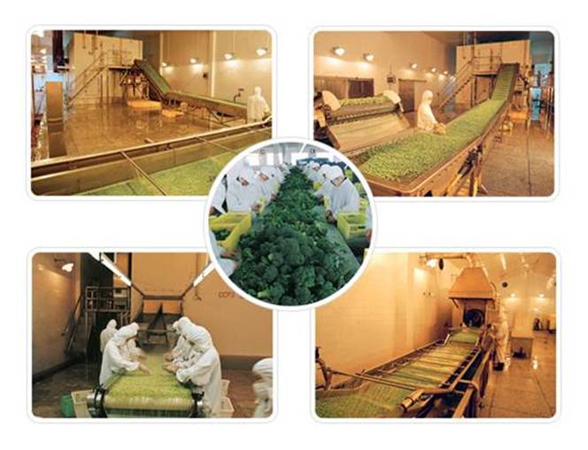 1604115971347610.jpg clip_image002.jpg